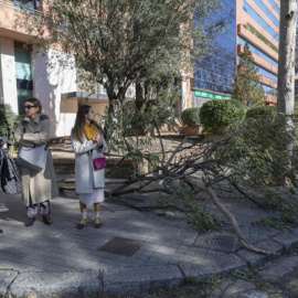 961569c1a71f98719091201920193f6290330a41m