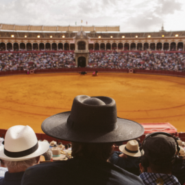 Tardes-de-soledad-800x466