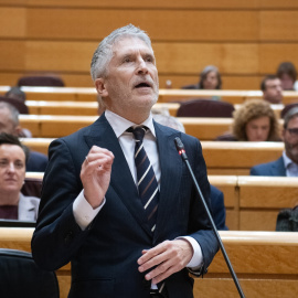 El ministro del Interior, Fernando Grande-Marlaska