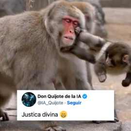 Reacciones al vídeo con IA de Punch, la famosa cría de mono que no se separa de su peluche.