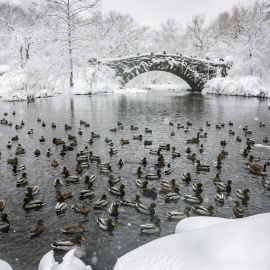El puente de Gapstow