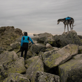 Una senderista con su perro en la Cresta de los Claveles en el Parque Natural de la Cumbre, Circo y Lagunas de Peñalara.