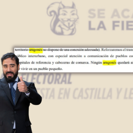 Fotomontaje con imágenes de Alvise Pérez y su programa electoral para Castilla y León.