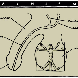 El Macho de Vitruvio