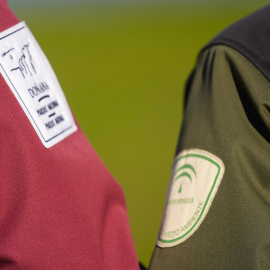 Imagen de archivo de las marismas de Doñana durante un recorrido de los enclaves de La Rocina, El Rocío y El Puntal.