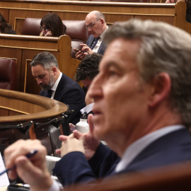 El presidente del Partido Popular, Alberto Núñez Feijoó , y el presidente de Vox, Santiago Abascal, en una sesión de control al Gobierno.