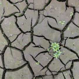 Bajo nivel de agua en el embalse de Belesar (Lugo).
