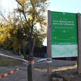 Accés a Collserola precintat pel brot de pesta porcina africana. 06/12/2025