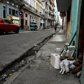 Un hombre y su gato se sientan en la puerta de su casa en La Habana este 13 de marzo de 2026.