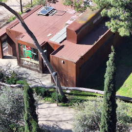 Arbres caiguts per la ventada d'aquest diumenge al Parc Bosc de Figueres. 15/03/2026