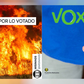 Memes tras las elecciones de Castilla y León.