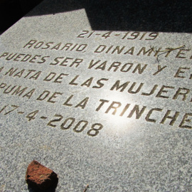 WhatsApp Image 2026-03-16 at 20.37.35