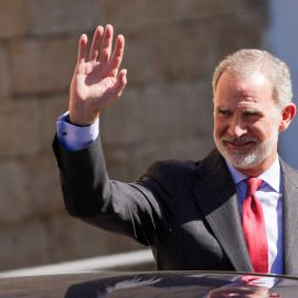 El rey de España, Felipe VI.
