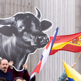 Varias personas durante una concentración frente al Congreso de los Diputados, a 17 de noviembre de 2025.