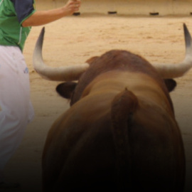 Así es el NEGOCIO taurino en ESPAÑA: un DESCENSO estructural en las ÚLTIMAS dos décadas