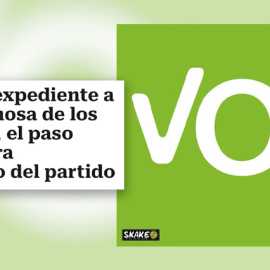 Un meme sobre las purgas en Vox.