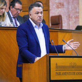 Juan Antonio Delgado, candidato de Podemos en Andalucía, en una imagen de archivo.