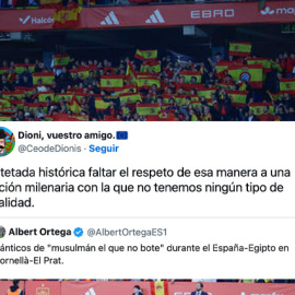 Aficionados españoles durante el partido amistoso entre España y Egipto.