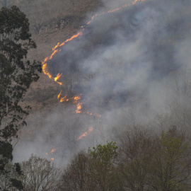 Un incendio forestal, este martes, en los montes próximos a la localidad cántabra de Barcenillas.