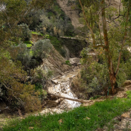 Imagen de la zona recreativa del río Corbones y del camino Arroyo Mujeres, afectadas seriamente por el temporal en febrero.