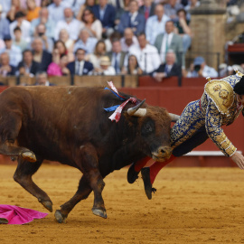 El torero Morante de la Puebla recibe una cornada