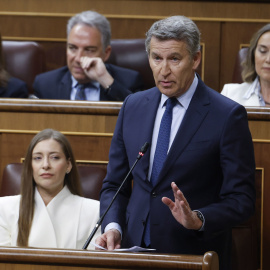 El líder del PP, Alberto Núñez Feijóo, interviene durante la sesión de control al Gobierno que se celebra este miércoles en el Congreso.