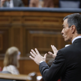 El jefe del Ejecutivo, Pedro Sánchez, interviene durante la sesión de control al Gobierno celebrada este miércoles, 22 de abril,  en el Congreso.