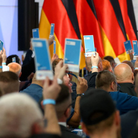 AFD Reuters