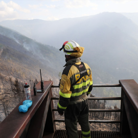 Un brigadista forestal observa el terreno calcinado en Lugo en 2025.