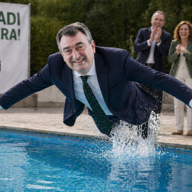 Imagen generada por Inteligencia Artificial del líder del PNV, Aitor Esteban, lanzándose a una piscina.