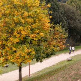 Dos personas caminan por un parque en Lugo.