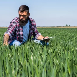 Un agricultor en su explotación agraria.