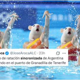 Meme sobre la natación sincronizada de ratas.