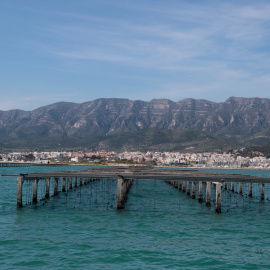 Muscleres del delta de l'Ebre