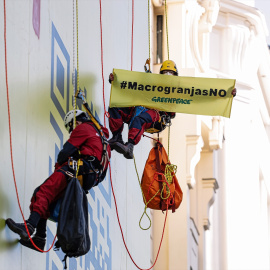 Un escalador de Greenpeace muestra una pancarta contra las macrogranjas.