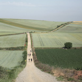 Peregrinos haciendo el Camiño de Santiago.