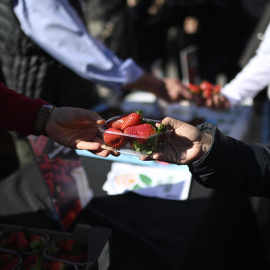 Imagen de archivo del reparto de más de 2.000 tarrinas de fresas de Huelva en Madrid.