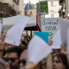 Profesores valencianos se han concentrado en las inmediaciones de Les Corts este jueves 21 de mayo.