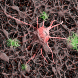 La utilización abusiva de la IA por los menores está generando retrasos cognitivos.