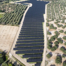 El parc solar fotovoltaic dels Valentins, a Ulldecona (Montsià). 16/12/2025