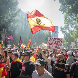 Manifestación a favor de la dimisión de Pedro Sánchez, a 23 de mayo de 2026, en Madrid.
