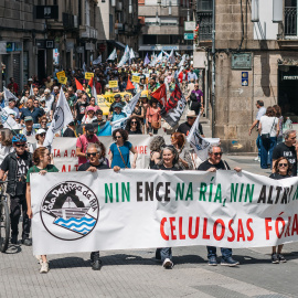 Numerosas personas participan en una marcha, este domingo, en Pontevedra.