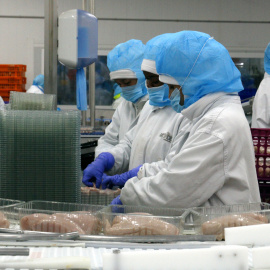 Treballadores a l'escorxador de pollastres Avidel, del grup Vall Companys, a Lleida.
