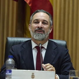 El presidente de Vox, Santiago Abascal, en el Congreso de los Diputados.