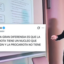 Reacciones al vídeo de Sergio Ramos presentando su oferta por el Sevilla FC.