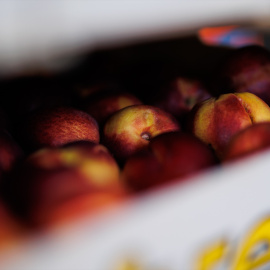 Una caja de nectarinas en el banco de alimentos del Colegio San Fernando, a 16 de septiembre de 2022, en Madrid (España).