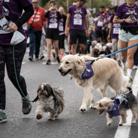 Corredores con sus mascotas participan en el Perrotón Madrid 2025.
