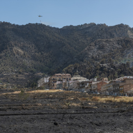 Zonas calcinadas por el incendio en Los Garres (Murcia)