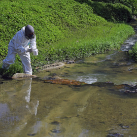 Un miembro del equipo de Emergencias de Malasia recoge muestras de un río por los residuos químicos vertidos (Archivo).