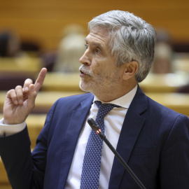 El ministro del Interior, Fernando Grande-Marlaska, en la sesión de control al Gobierno celebrada este martes en el Senado.